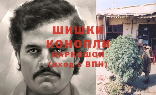 прущие грибы Майский
