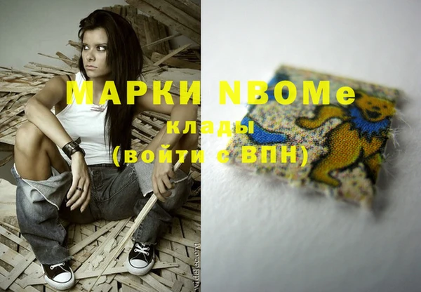 прущие грибы Майский
