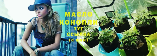 прущие грибы Майский