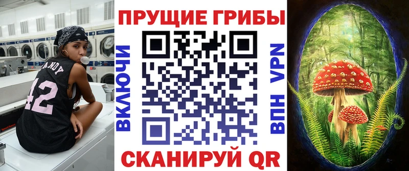 Псилоцибиновые грибы прущие грибы кракен зеркало Калтан